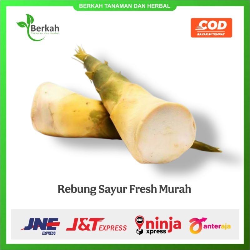 

Promo Jual Rebung Bambu Segar Asli 1kg