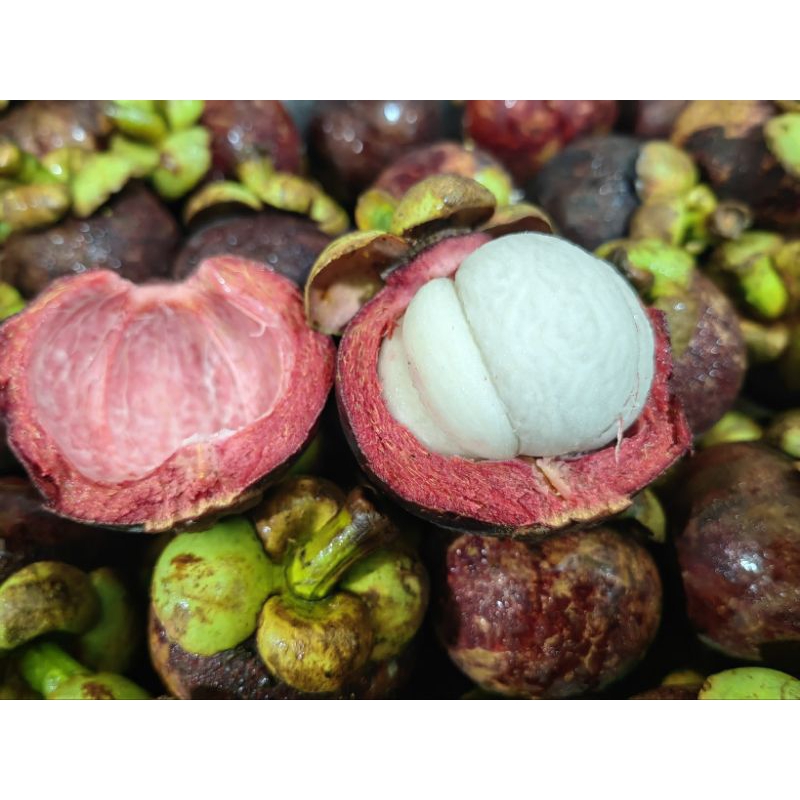 

Buah manggis (per kg)