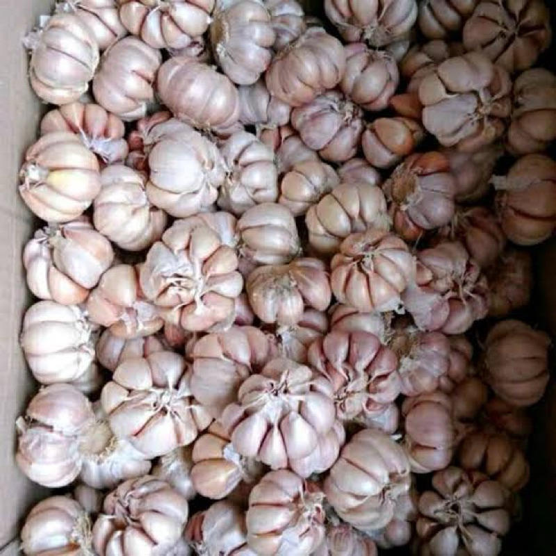 

BAWANG PUTIH UTUH 250 gram