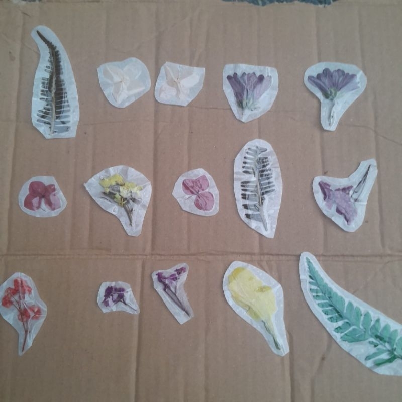 

Stiker Bunga Kering Asli