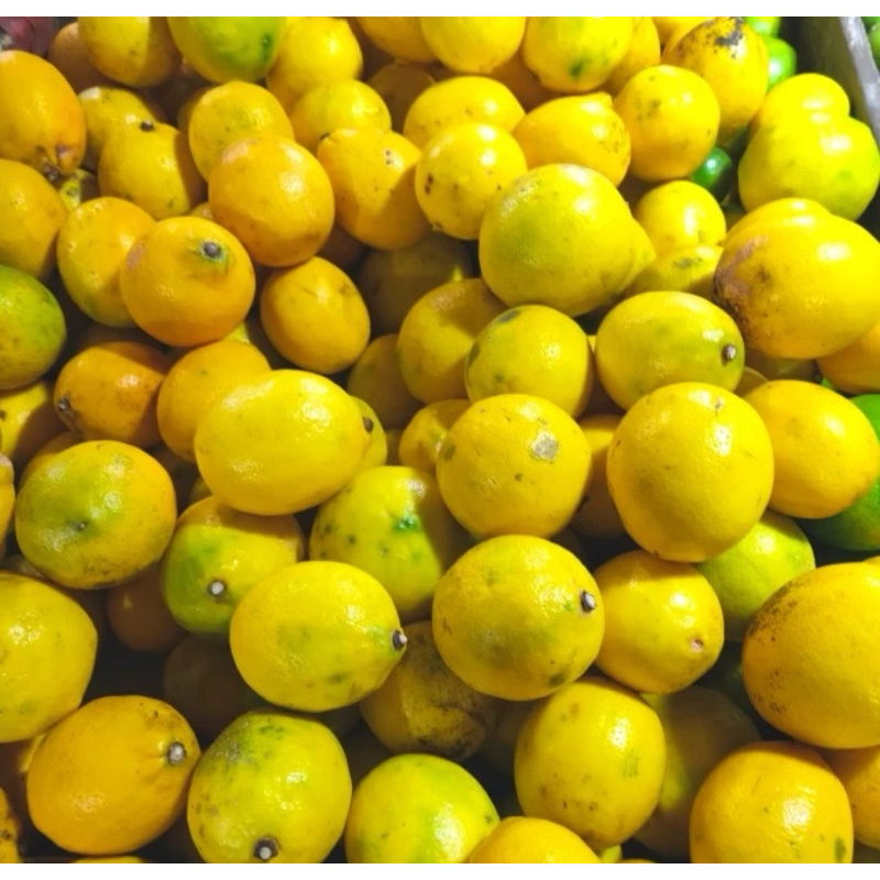 

Lemon Lokal - 500gram