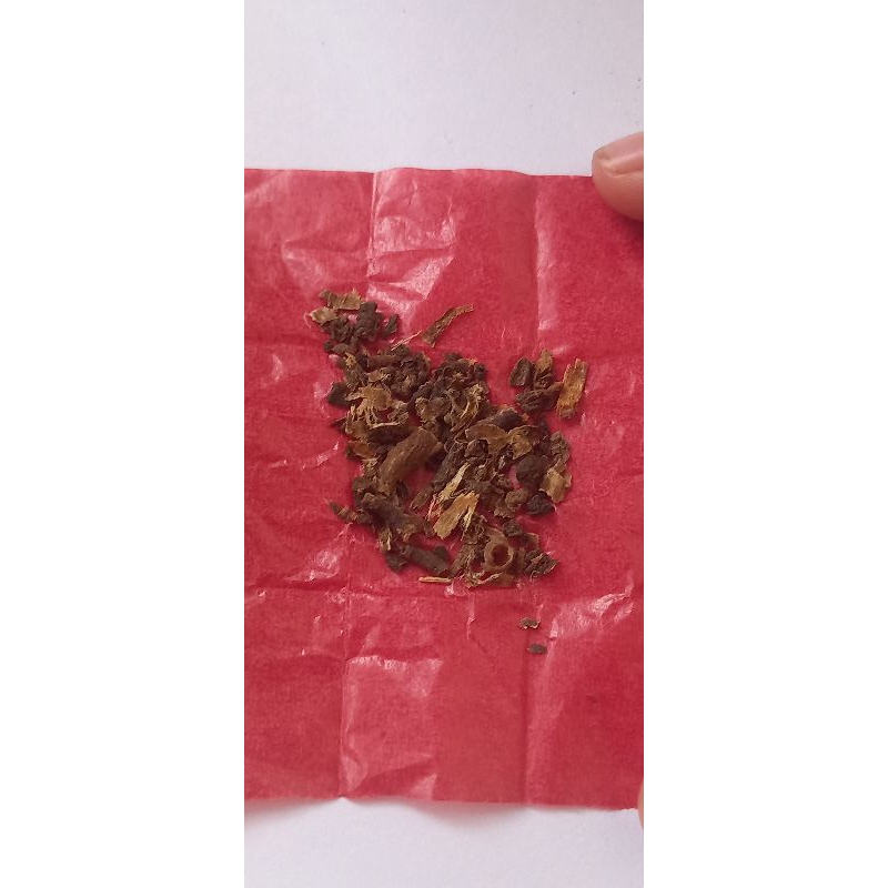 cacing kalung bubuk/serbuk obat tipes demam DBD dijamin ampuh