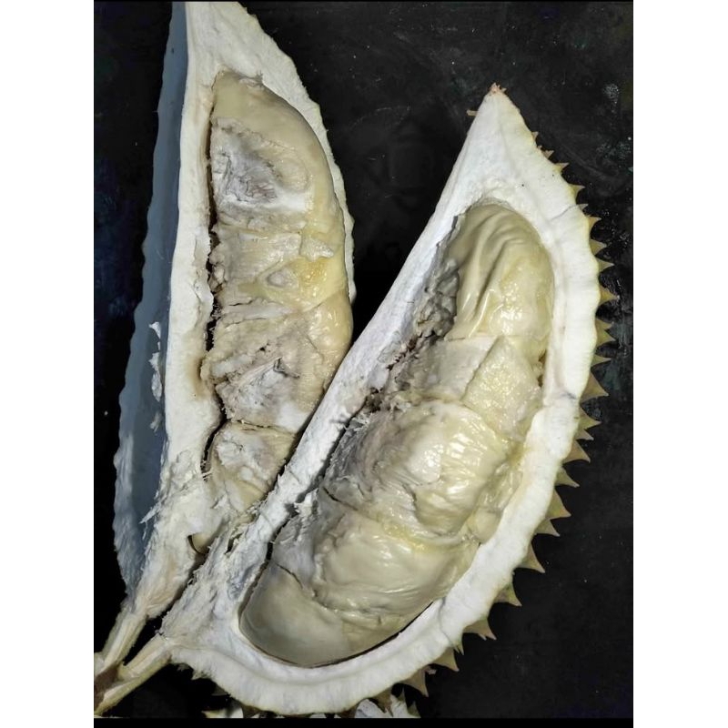 

Buah Durian Utuh bulat Durian Lokal Premium