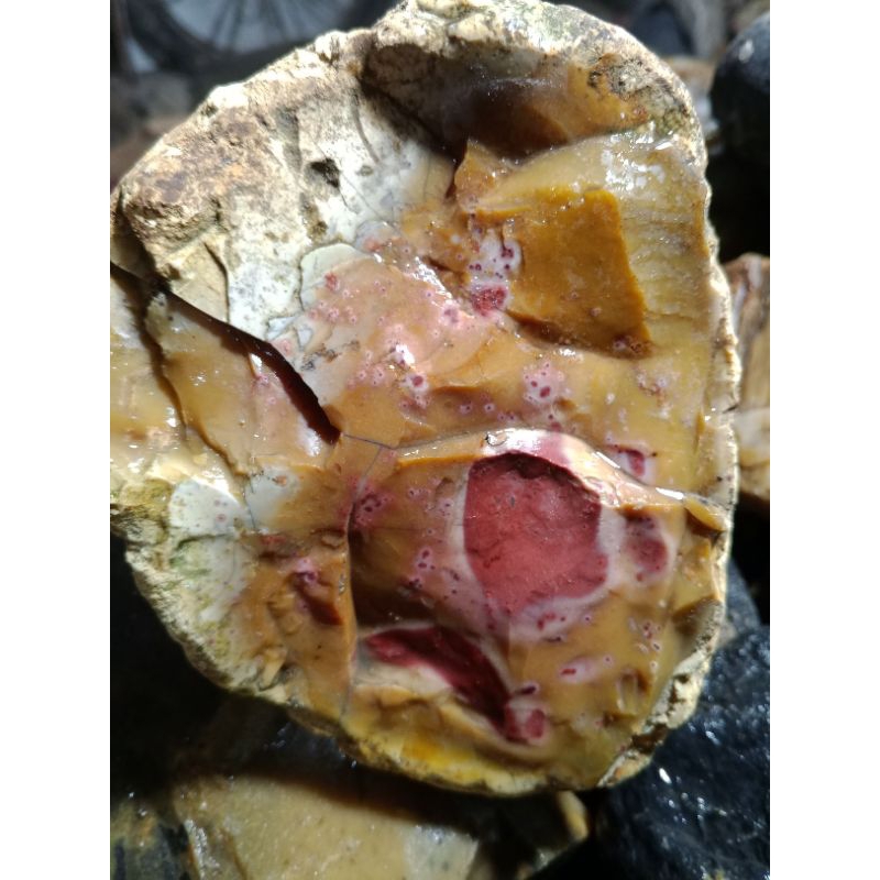 merah Garut kristal