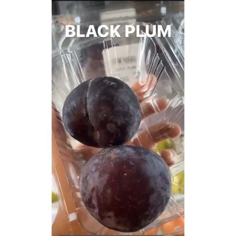 

Black Plum / Plum Import