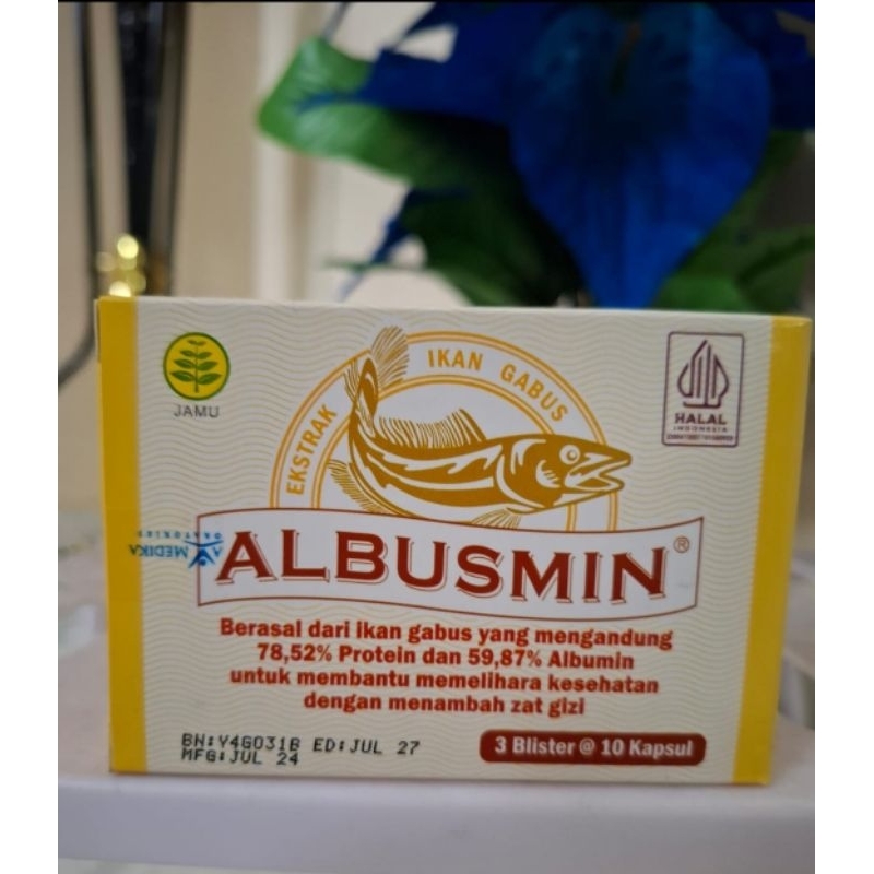 albusmin extrax ikan gabus kapsul perbox