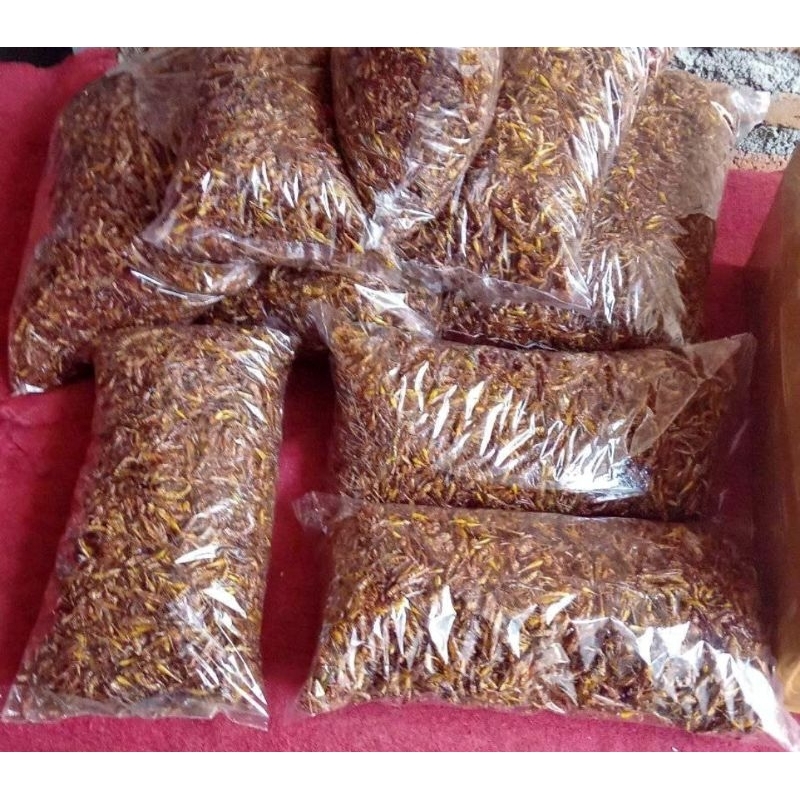 

Belalang Goreng 500 gram