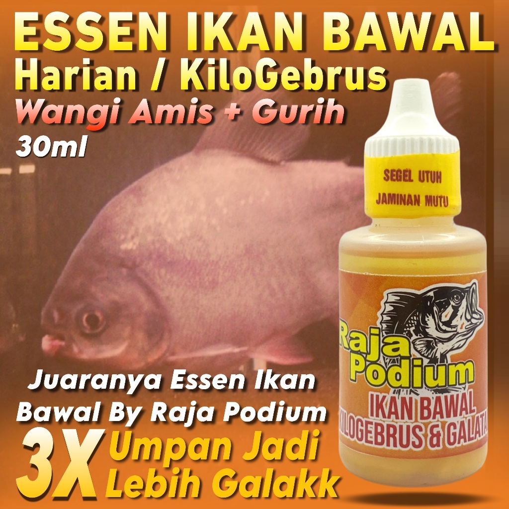 Essen Ikan Bawal Harian KiloGebrus Paling Gacor, Essen Ikan Bawal Media Tempe Paling Ampuh, Essen Ik