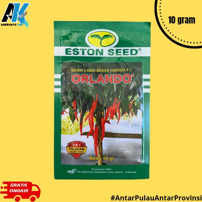 Benih Cabai Besar F1 Orlando 10gram