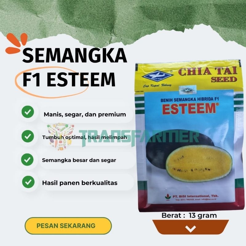 Benih Semangka F1 ESTEEM
