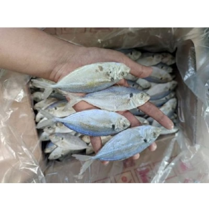 

Ikan asin selar 250g