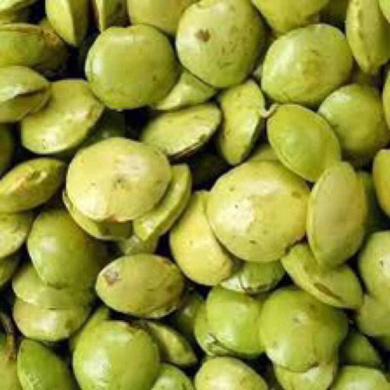 

BIJI JENGKOL MUDA 1KG