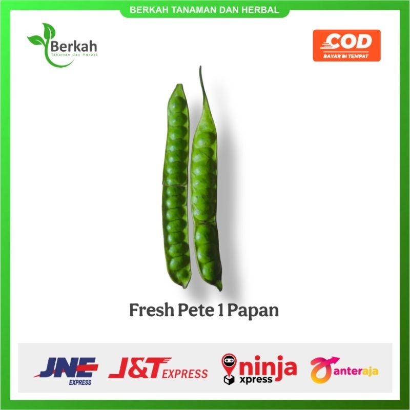 

Fresh Pete Petai Sedang 1 Papan/ Lonjor/ Helai