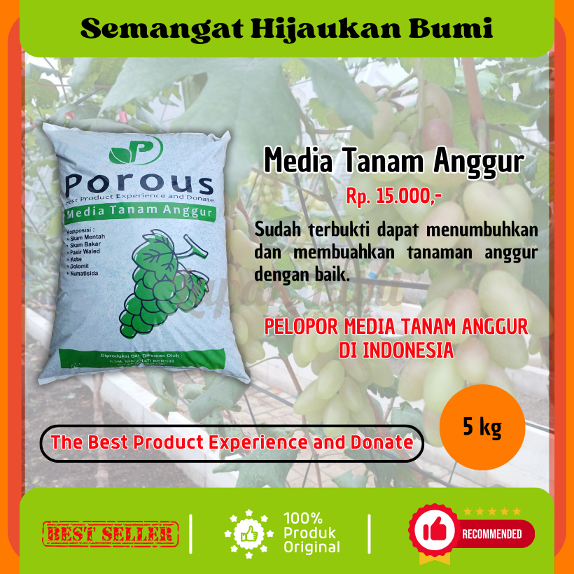 Porous Media Tanam Anggur