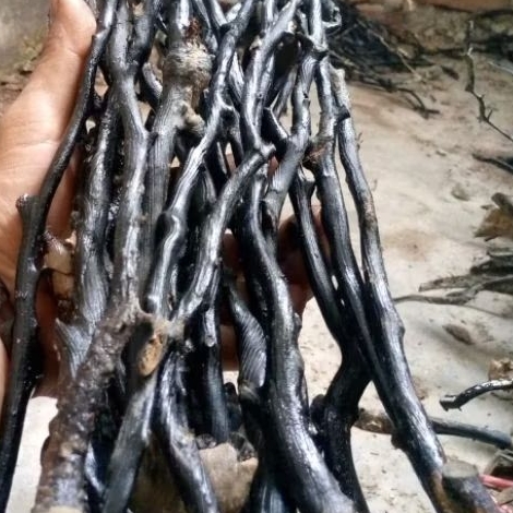 akar bahar hitam bahan gelang jual bijian