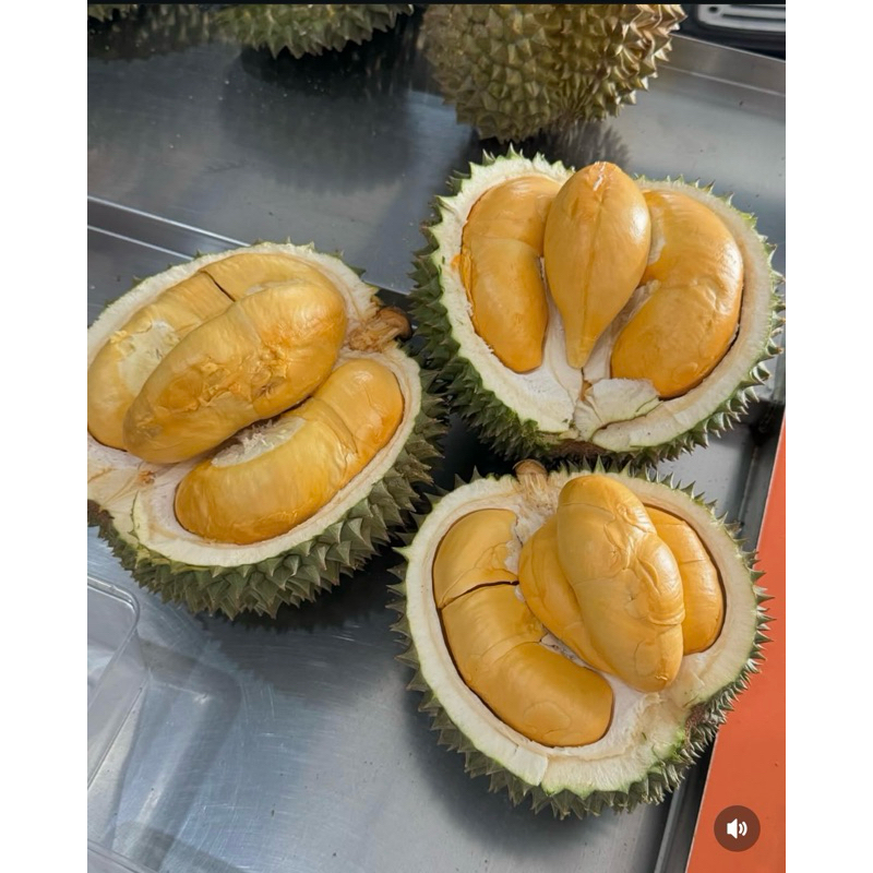 

DURIAN BAWOR ASLI BANYUMAS (HASIL PERKAWINAN MONTONG & MUSANG KING)