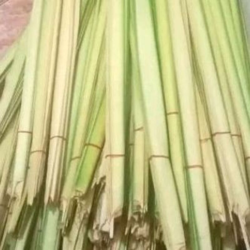 

janur/daun kelapa muda isi 20 batang(40 helai)