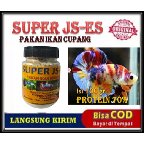 PAKAN IKAN CUPANG PENGGANTI KUTU AIR (KUTIR)