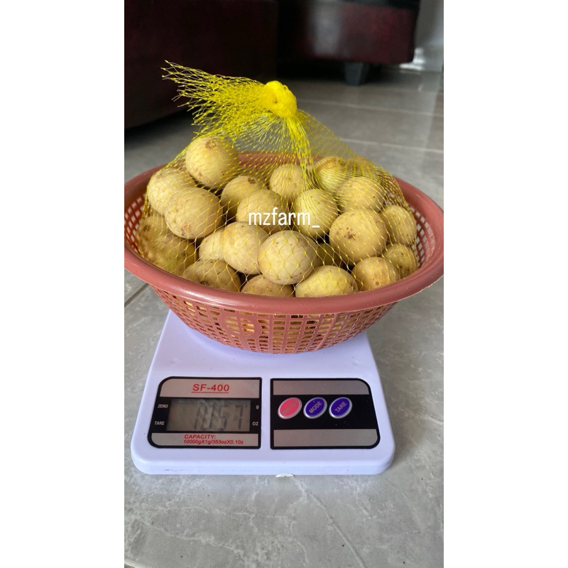 

Duku 1 Kg Dijamin Manis