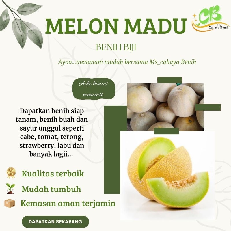 Benih biji melon madu isi 100 butir,  Bibit melon madu super