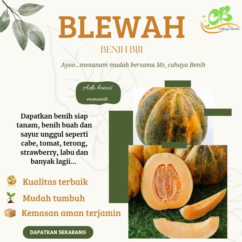Benih Blewah madu isi (200 biji), Bibit Blewah madu