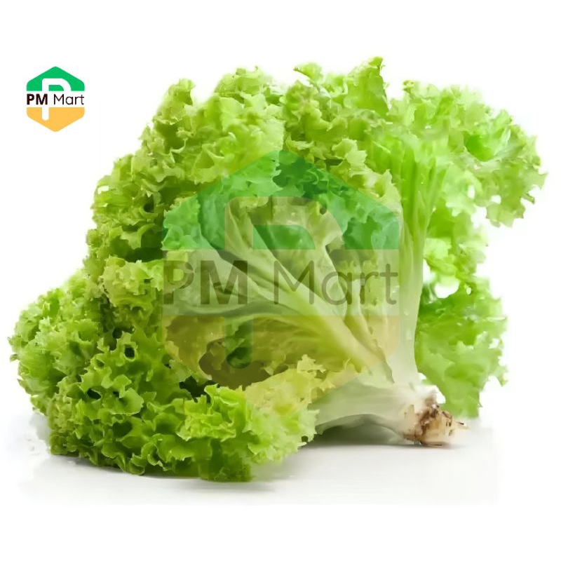 

Sayur Selada Segar ±250 Gram