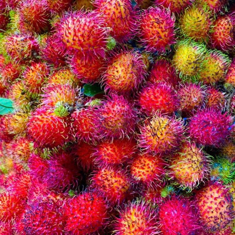 

PROMO Rambutan Fresh 1kg