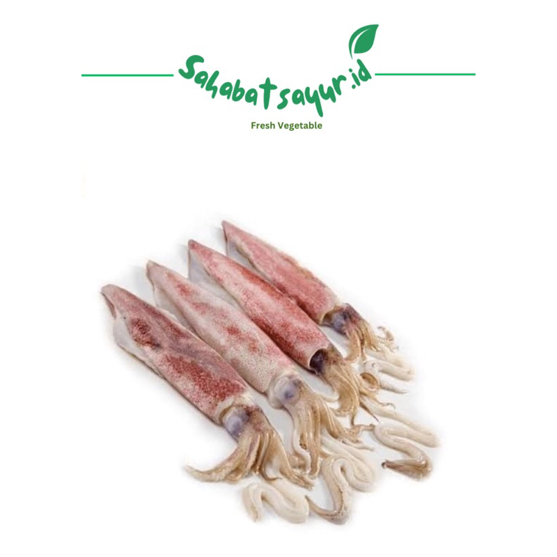 

Cumi cumi fresh berat 250gr -surabaya