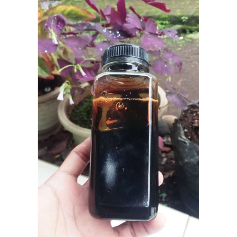 

MADU LEBAH HUTAN 275g