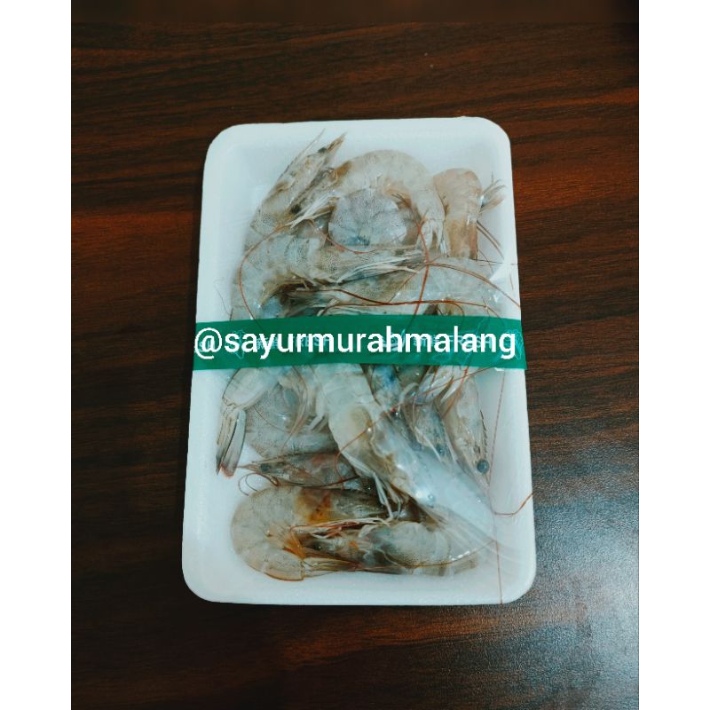 

Udang Frozen | Udang Pack | Kondisi Baik