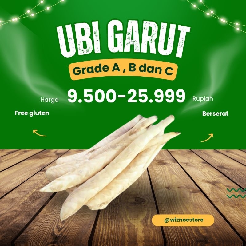 

Umbi garut segar/Umbi garut/Umbi garut fresh mentah