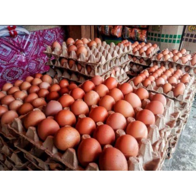 

Telur Ayam 1 Piring/Papan (30 Butir)