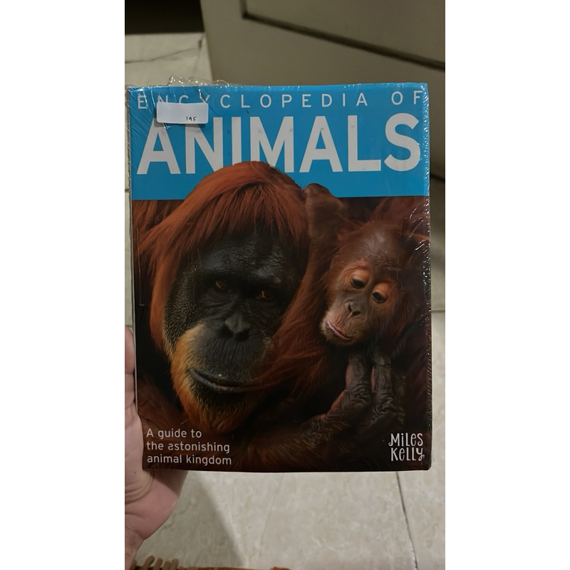 Encyclopedia Of Animals - Miles Kelly