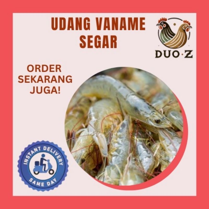 

Udang Ukuran Sedang Instant Only area Bandung Cimahi dan sekitarnya