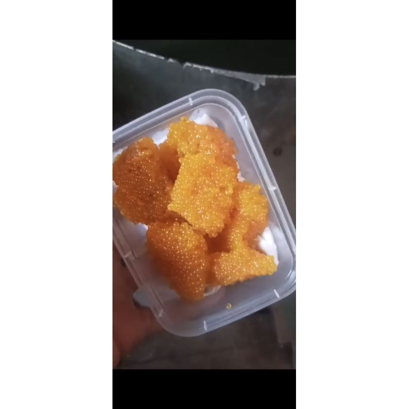 umpan galatama lele bawal Telur sapu sapu yupi kenyal