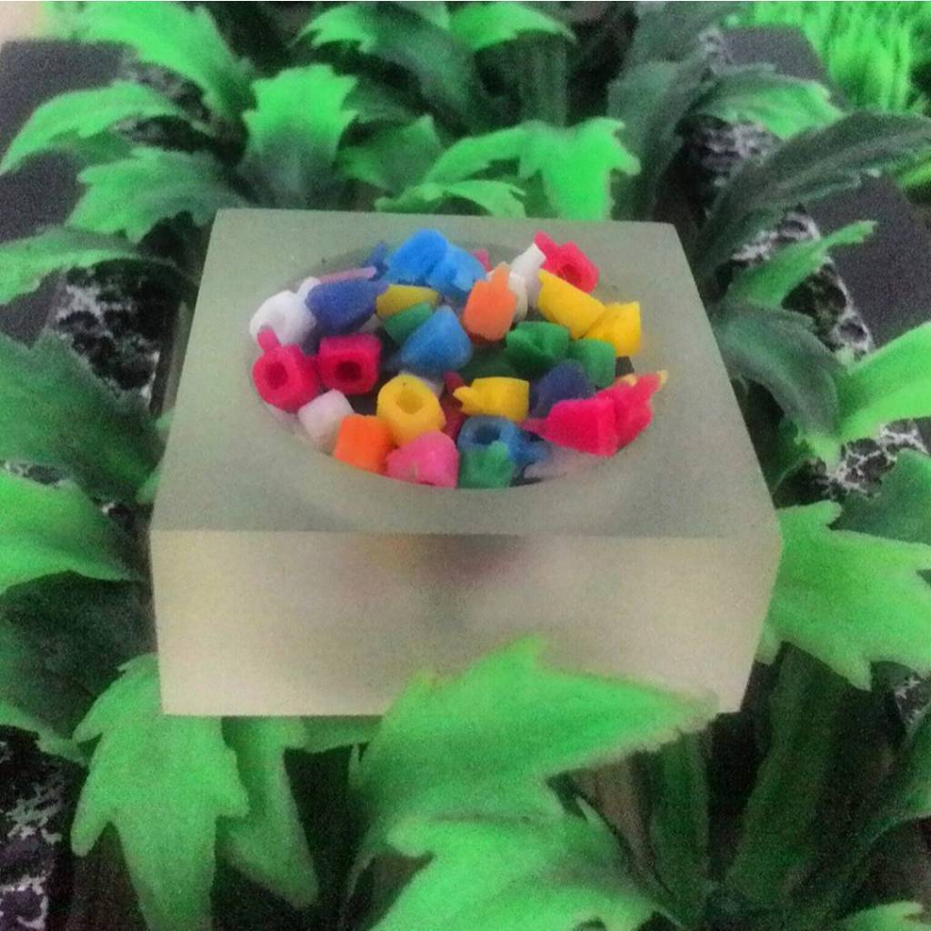 elastico fingerboard PIVOT CUPS blackriver truck