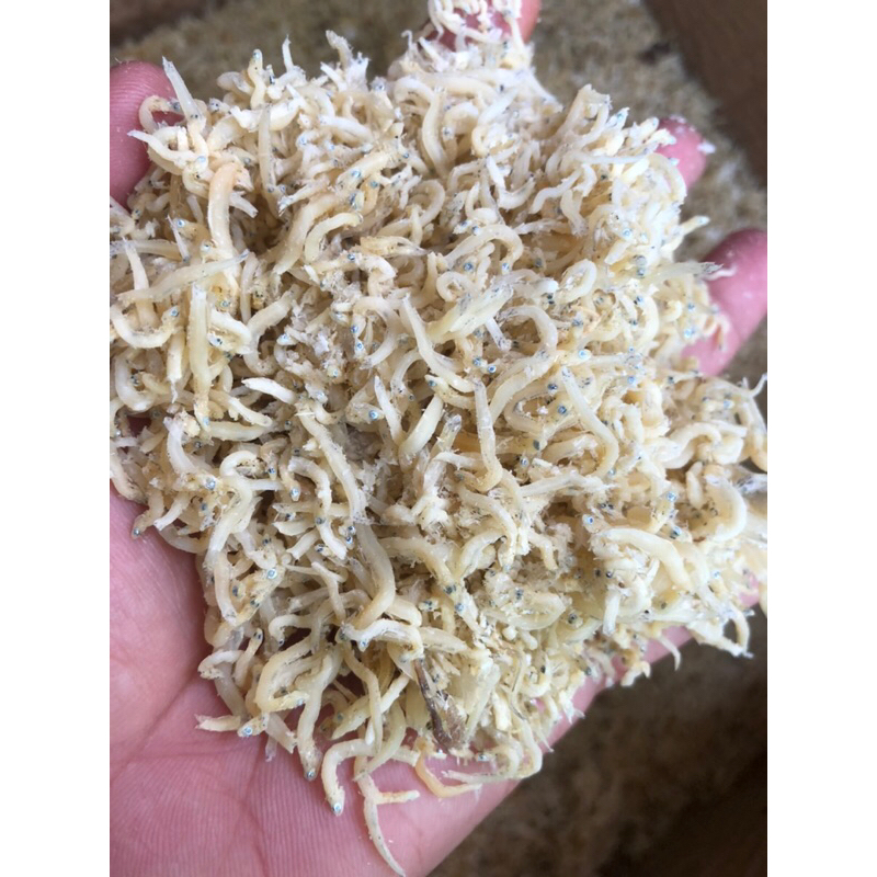 

ikan asin teri medan