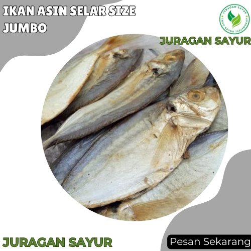 

Ikan Asin Selar Size Jumbo - Ikan ASin Selar Super - Juragan Sayur
