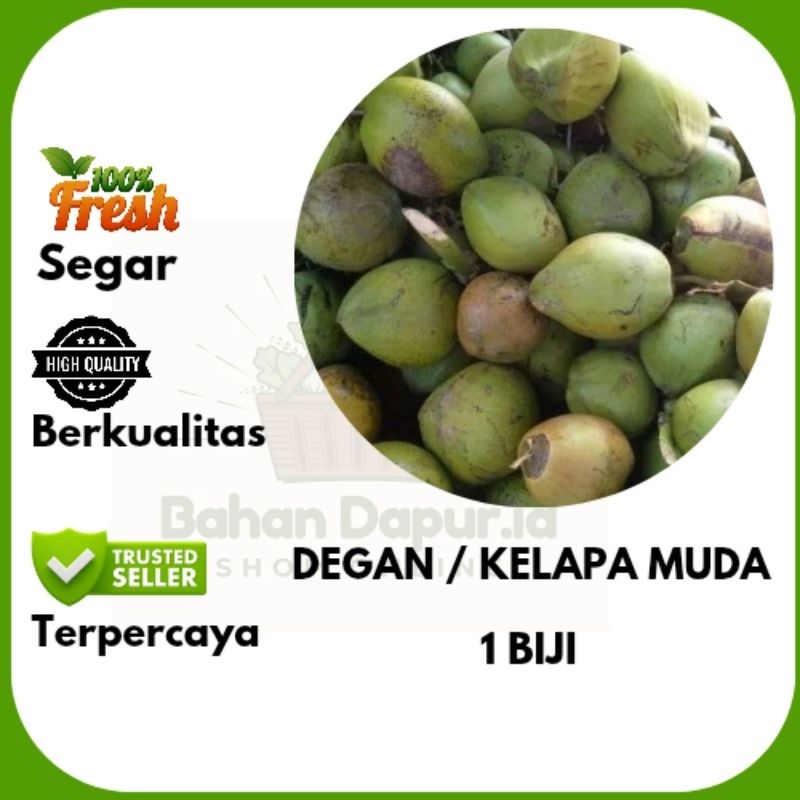 

DEGAN / KELAPA MUDA | 1 BIJI | Bahan Dapur .id