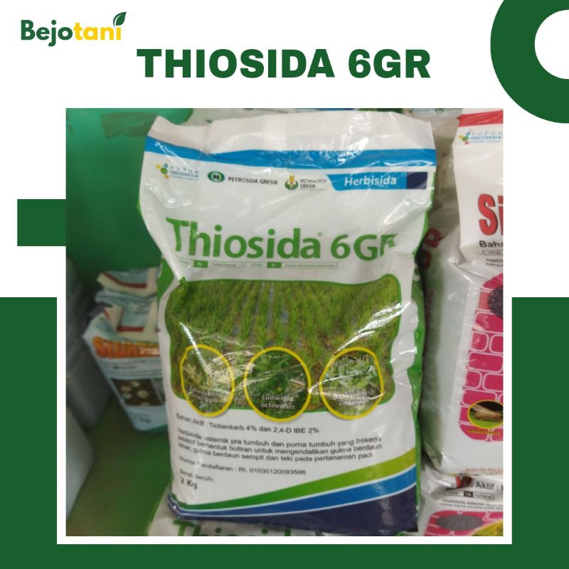 THIOSIDA 6GR Herbisida 2kg Pengendali Gulma Padi Tabela Tapin