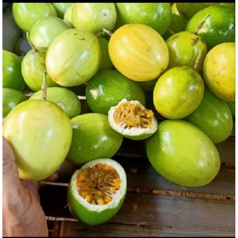 

Buah markisa 1kg segar baru petik/buah markisa manis legit