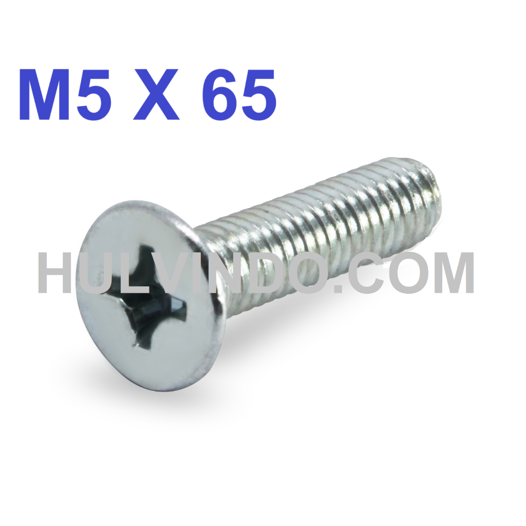 BAUT JF FLAT HEAD M5 X 65