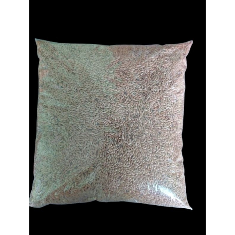 Pakan Burung Kenari: Kenari Seed 1 Kg