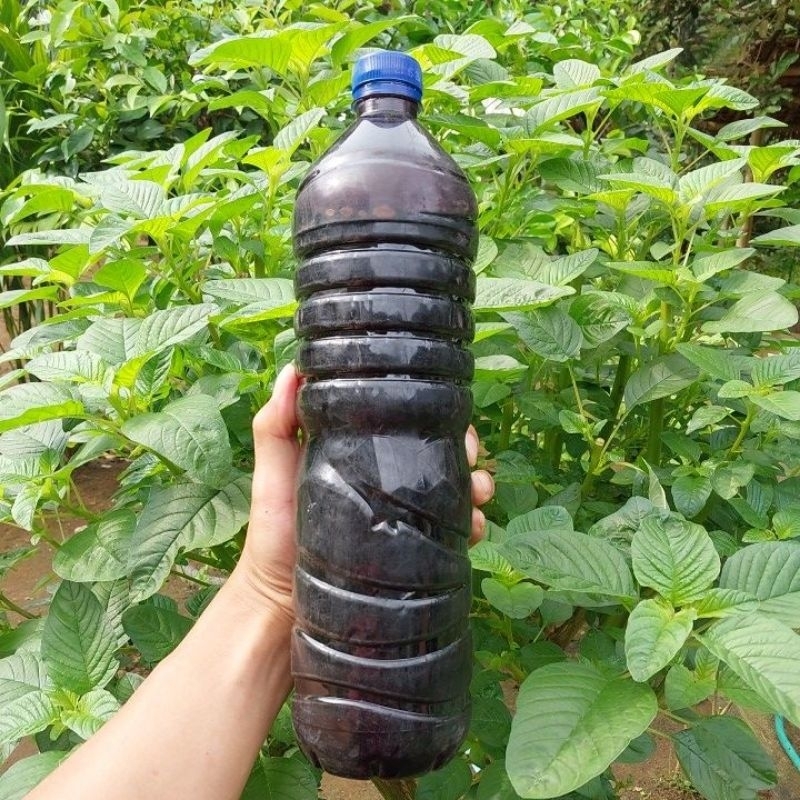 MOLASE 1 LITER TETES TEBU MURNI KENTAL KEMASAN BOTOL