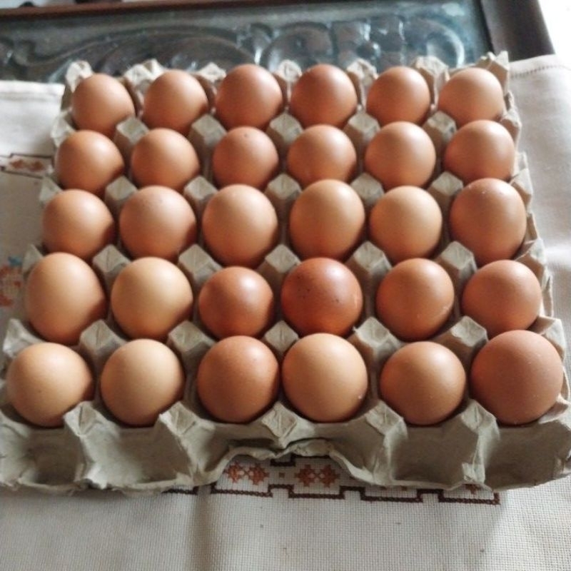 

Telur Ayam Negeri Omega 3 (1 tray isi 30 butir)