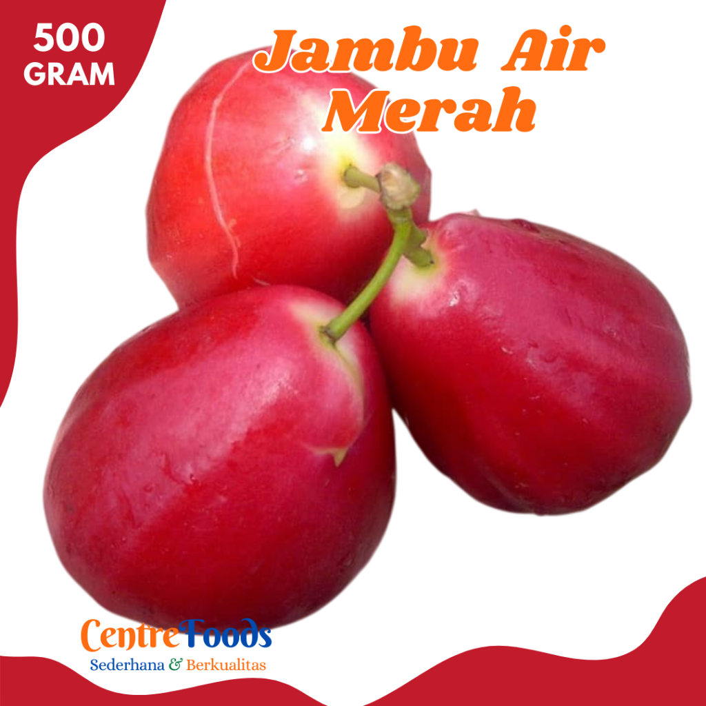

JAMBU AIR Merah - Buah Jambu Air Merah General Fresh | 500gr [ Harga Per 0,5 Kg ]