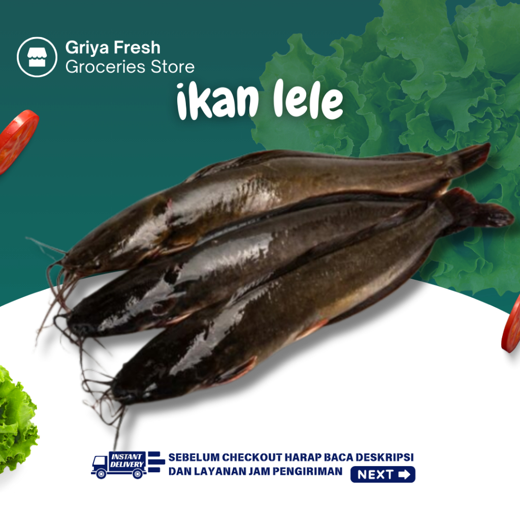 

Ikan Lele Fresh 500 gram - Kirim Instant