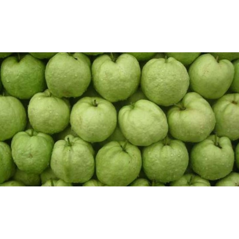 

mangga muda mix jambu kristal isi 1kg