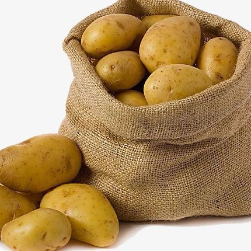 

kentang ukuran sedang