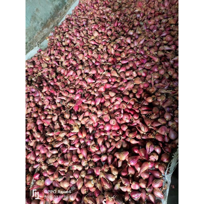 

bawang merah besar brambang nganjuk besar 1kg murah